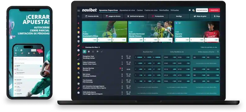 Desventajas y puntos a mejorar